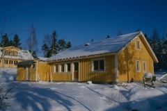 Vårvinter